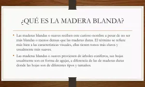 Texto explicativo sobre qué son las maderas blandas, sus características visuales y su origen en árboles coníferos.