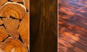 Teca, caoba e ipe: maderas blandas y duras con texturas y tonos variados, ideales para proyectos de construcción y decoración.